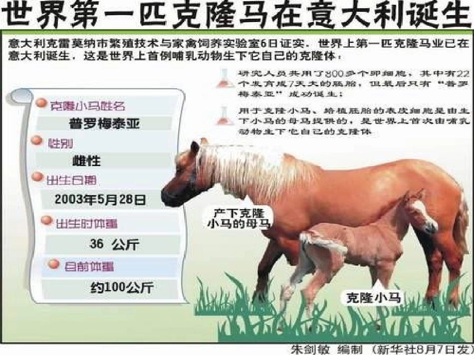 《奇妙的克隆》课件4_第2页
