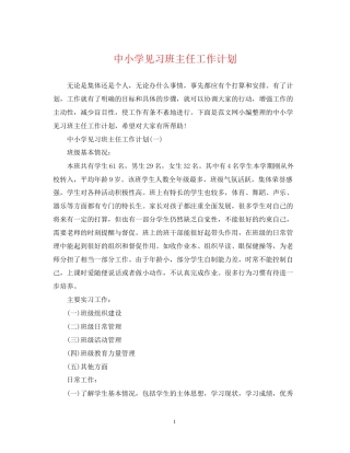 中小学见习班主任工作计划