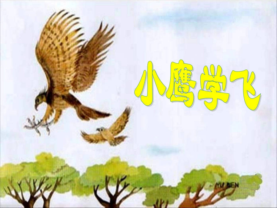 小鹰学飞 (3)_第1页