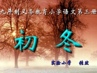 初冬写字教学