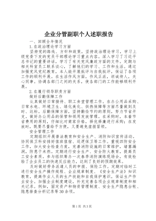 企业分管副职个人述职报告