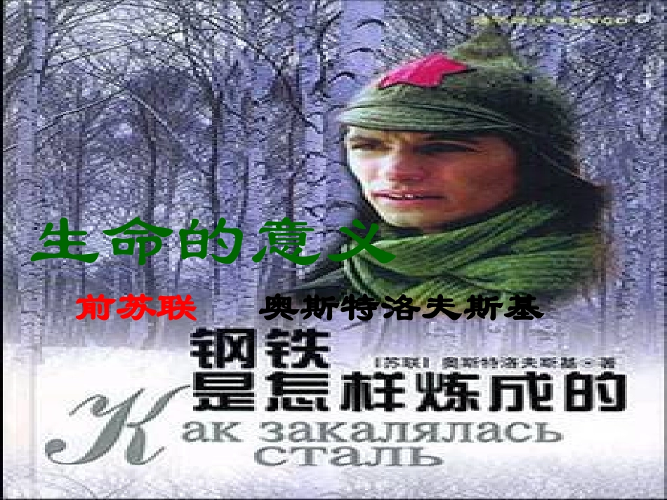 《生命的意义》上课_第2页
