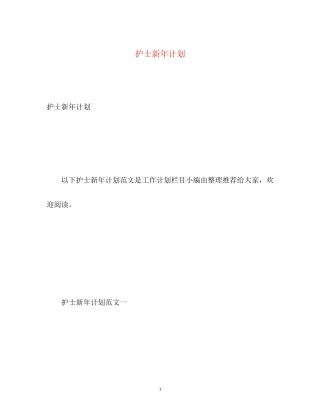 护士新年计划2)