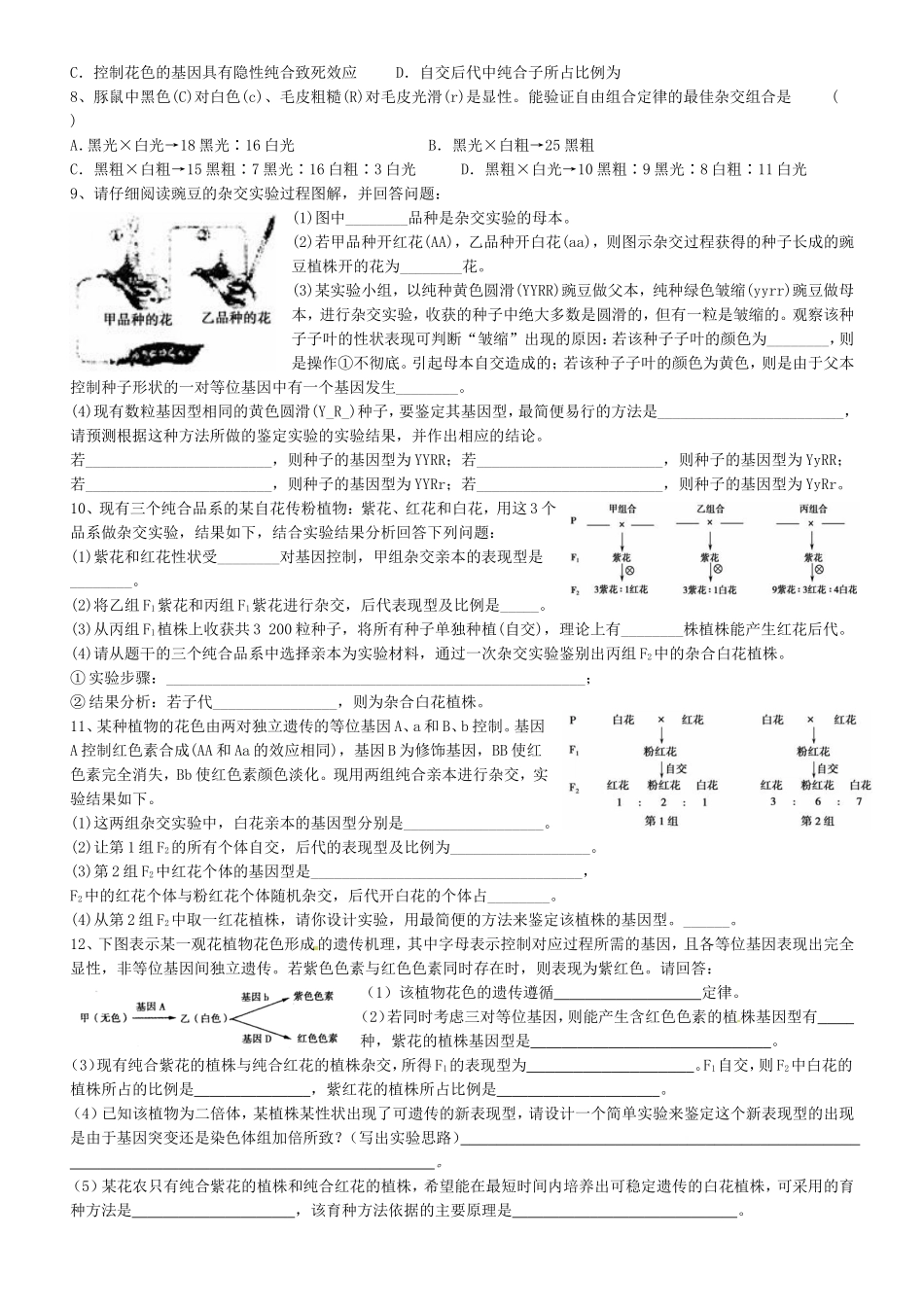 2015年306遗传训练_第2页