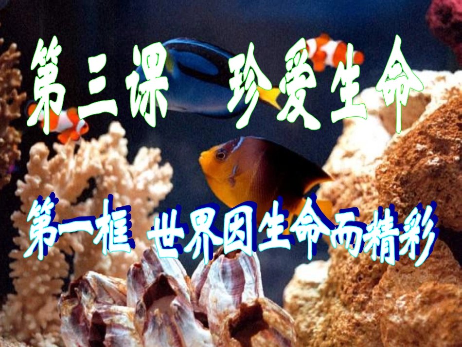 世界因生命而精彩(上课)(1)_第1页