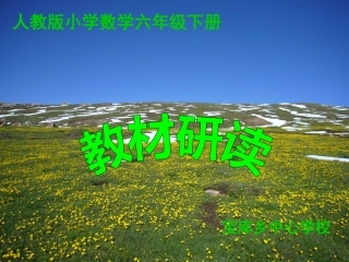 (宝库)人教版小学数学六年级下册研说教材