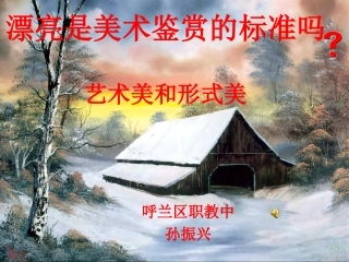 漂亮是美术鉴赏的标准吗