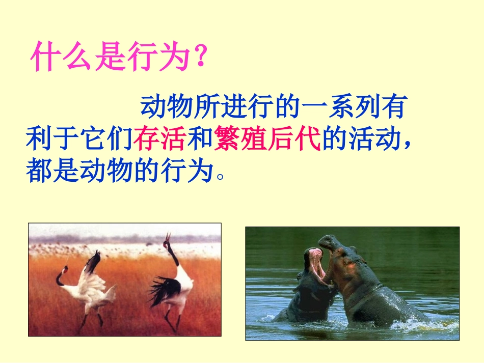 《先天性行为和学习行为》课件2_第2页