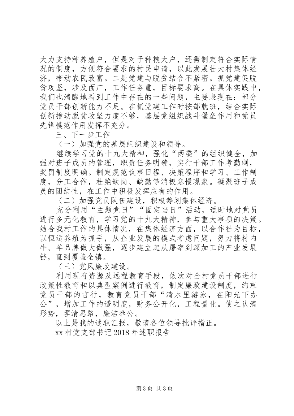 XX村党支部书记XX年述职报告_第3页