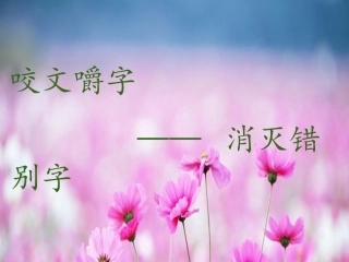 咬文嚼字-消灭错别字