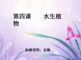 教科版三上科学_水生植物