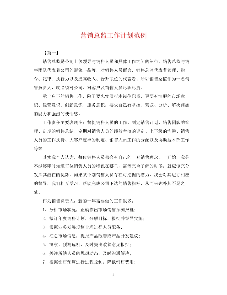 营销总监工作计划范例_第1页