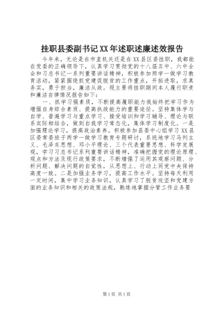挂职县委副书记XX年述职述廉述效报告