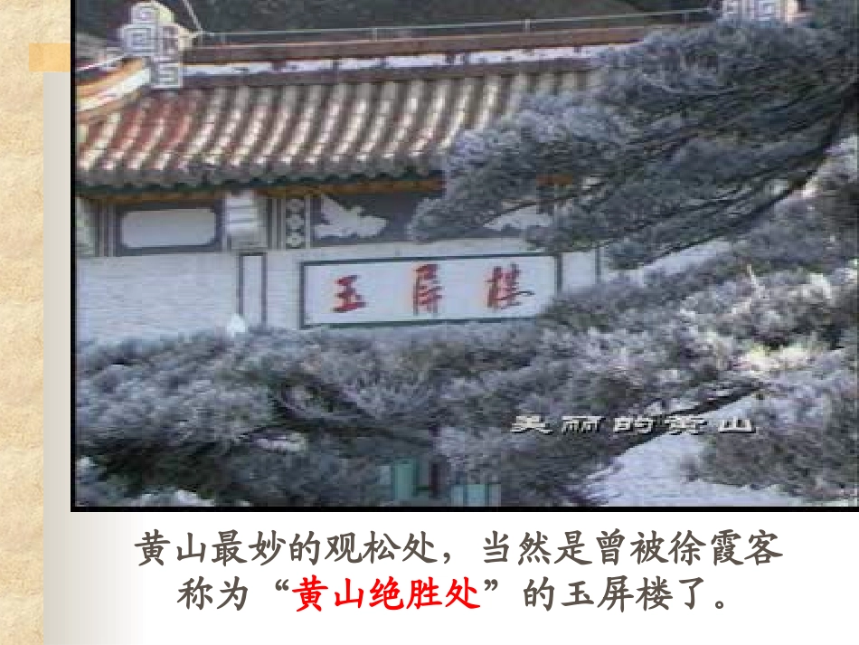 黄山奇松课件 (2)_第2页
