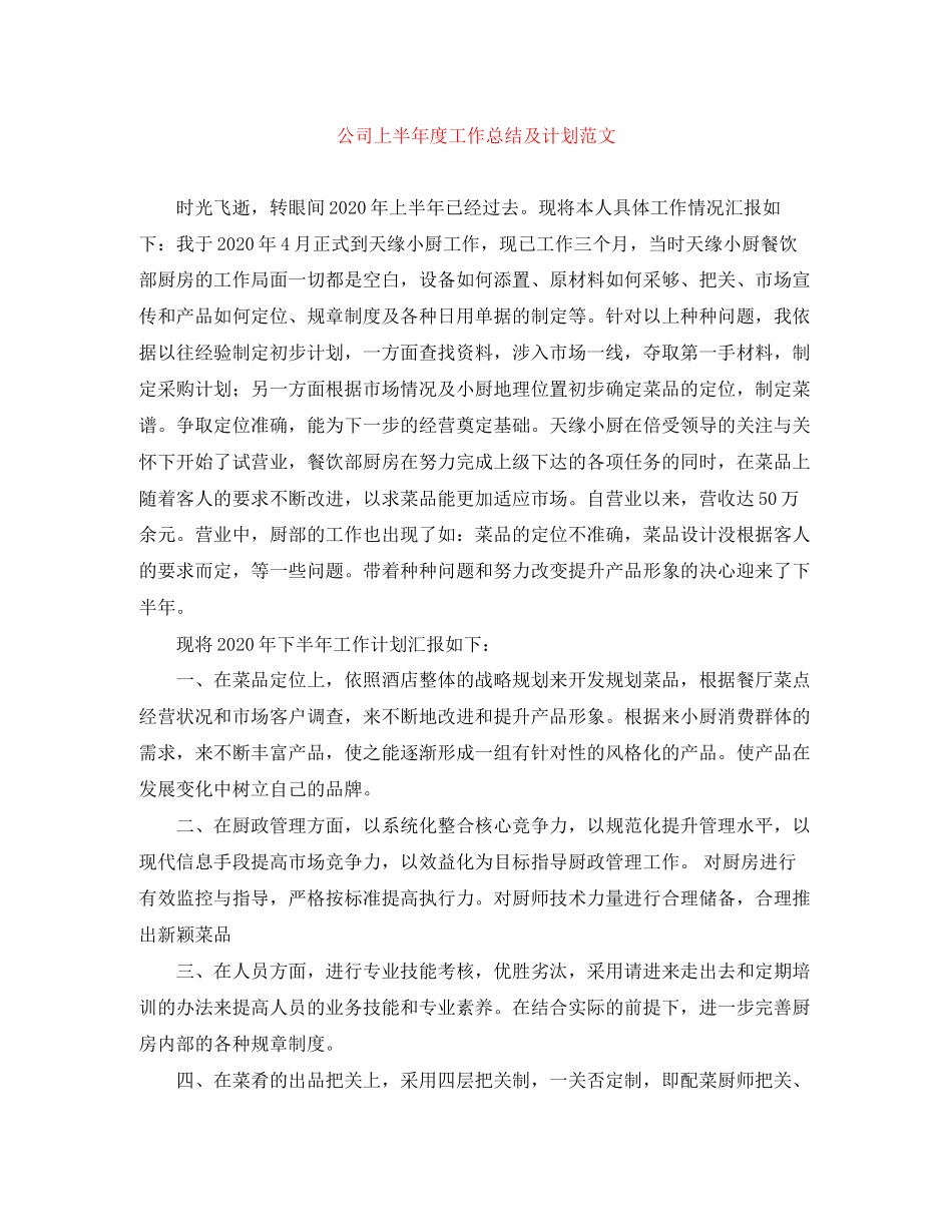 公司上半年度工作总结及计划范文_第1页