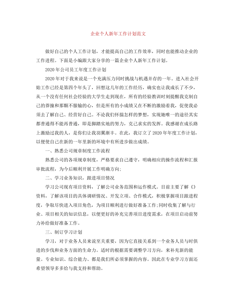 企业个人新年工作计划范文_第1页