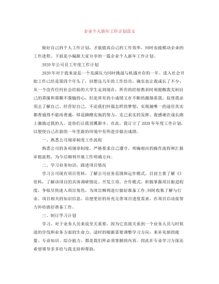 企业个人新年工作计划范文