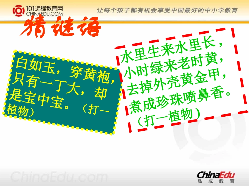 华东师大版初中七上12原始的农耕文化课件_第2页