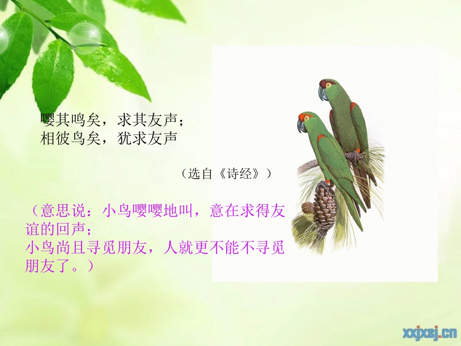 《与友同行》课件_第2页
