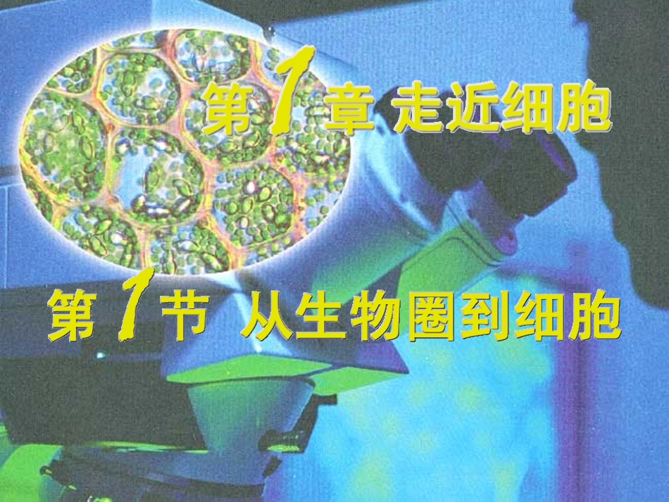 从生物圈到细胞 (3)_第1页