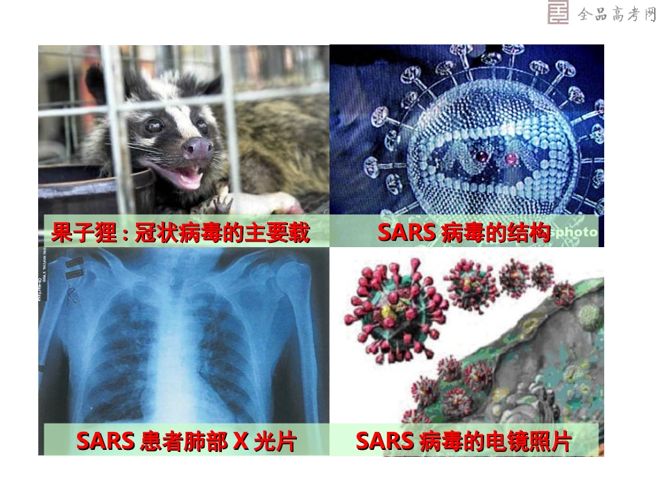 从生物圈到细胞 (3)_第3页