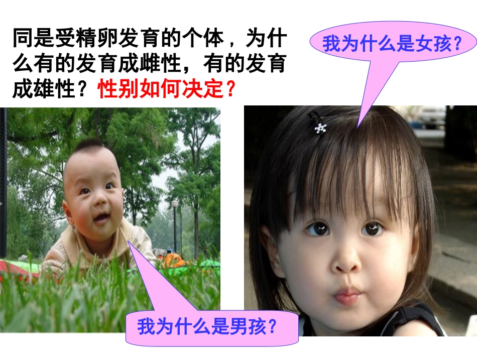 伴性遗传设计一_第2页