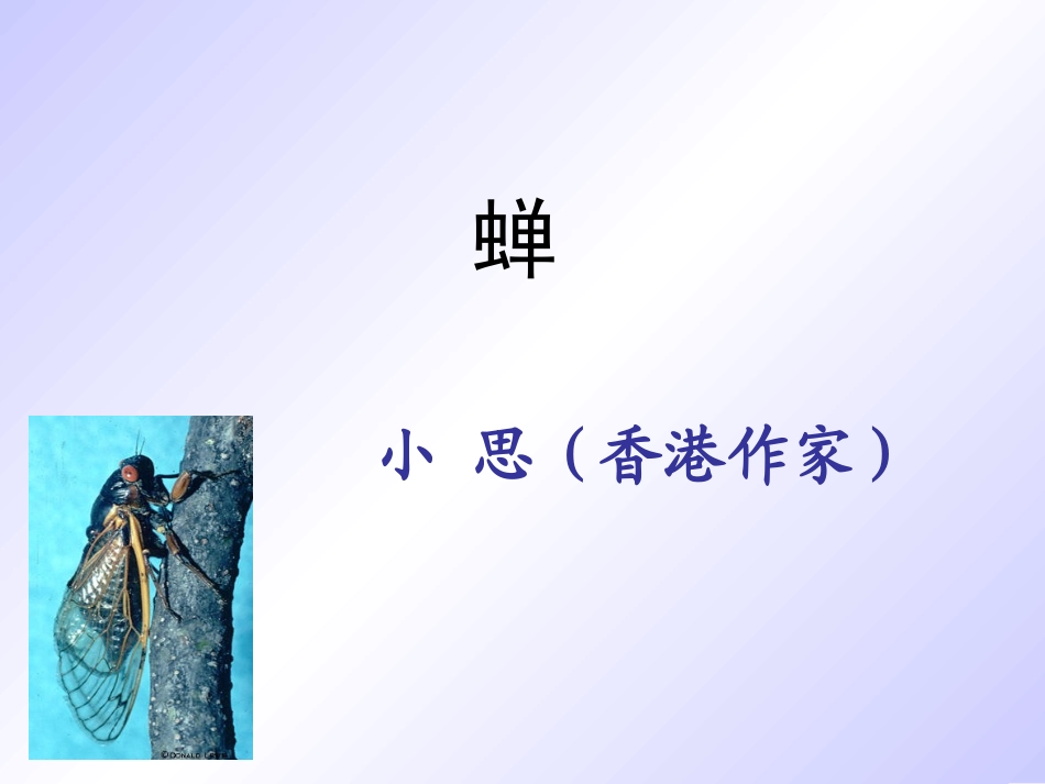 短文两篇《蝉》《贝壳》_第2页