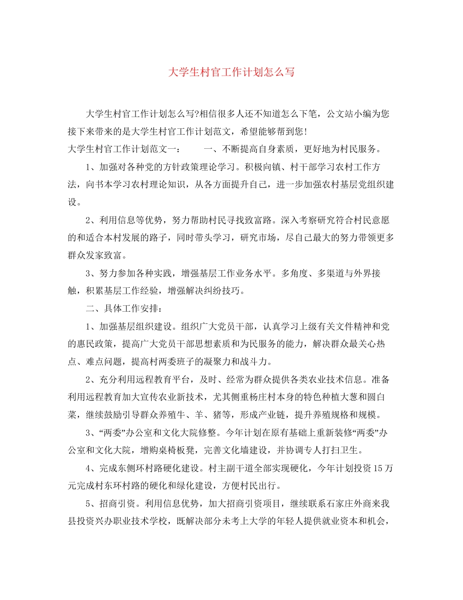 大学生村官工作计划怎么写_第1页