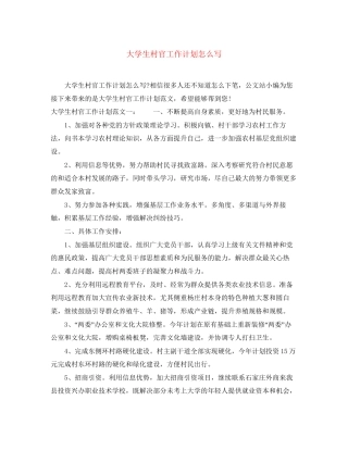 大学生村官工作计划怎么写