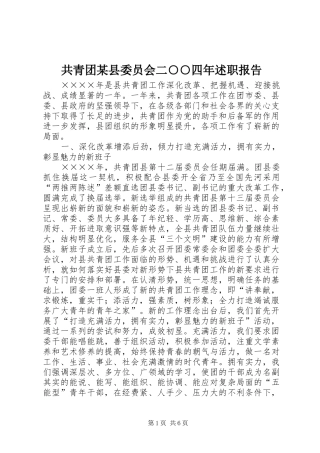 共青团某县委员会二○○四年述职报告
