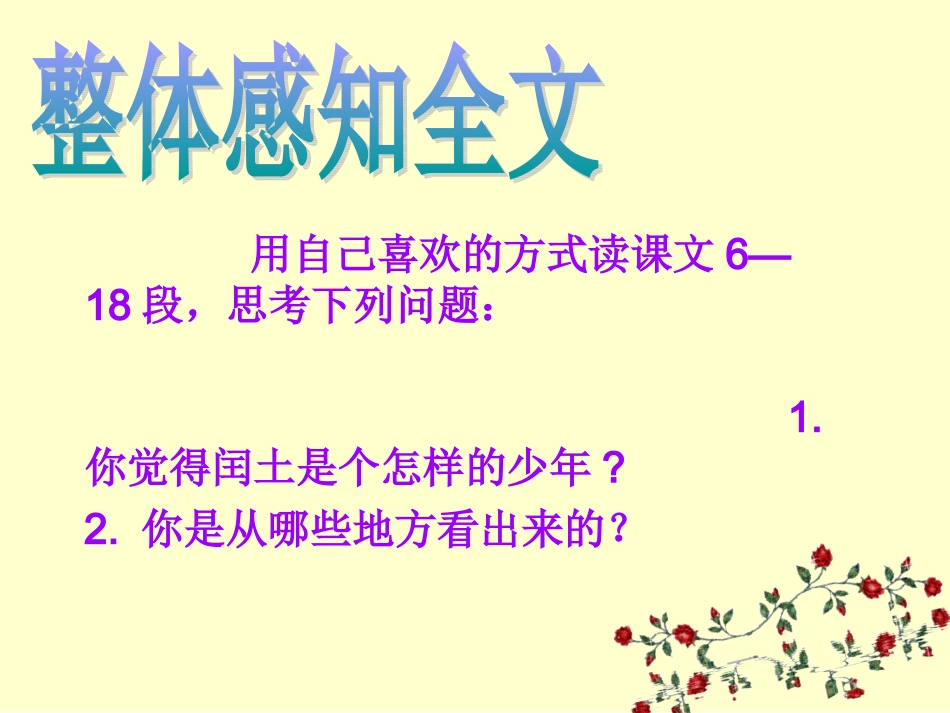 王亚菲《少年闰土》语文五年级上_第3页