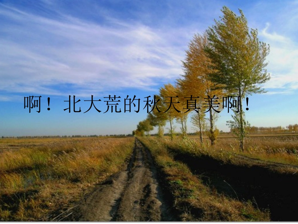 三年级北大荒的秋天_第3页