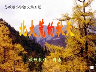 三年级北大荒的秋天