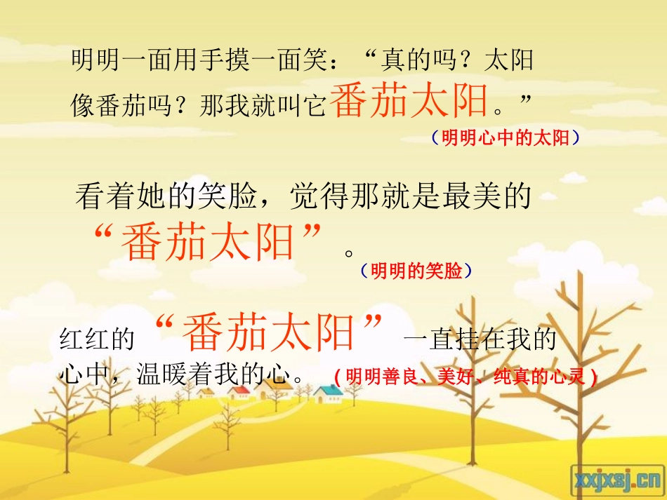 《番茄太阳》课件2_第2页