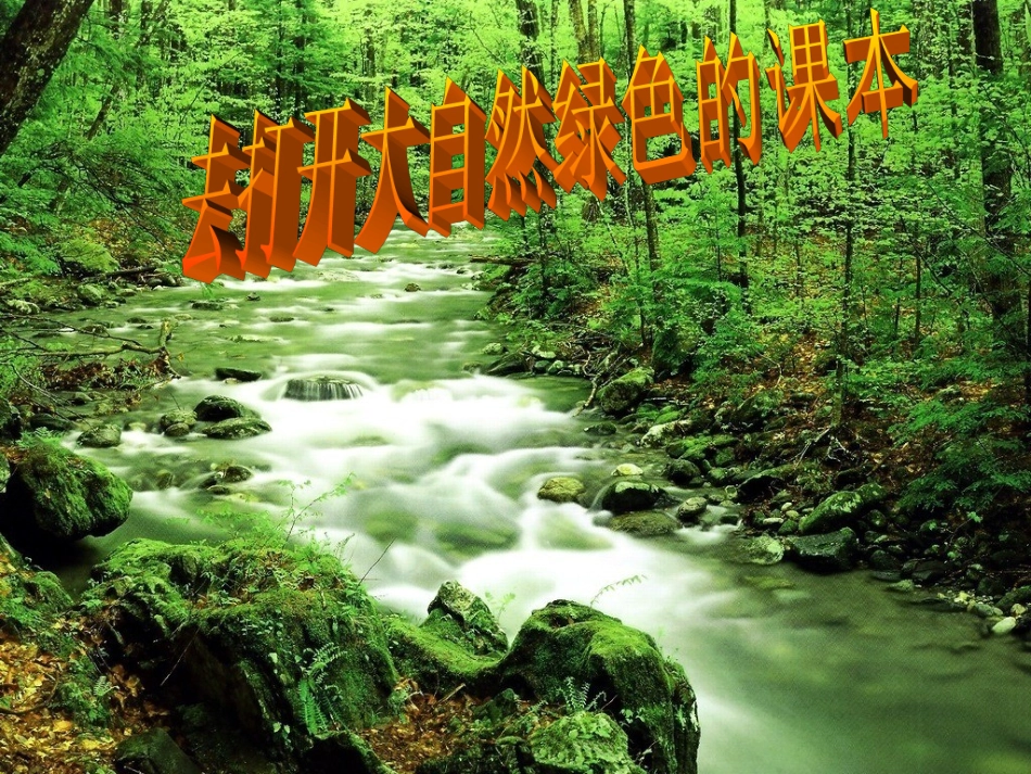 去打开大自然绿色的课本 _第1页