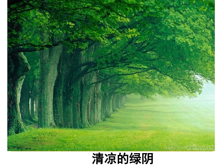 去打开大自然绿色的课本 _第3页