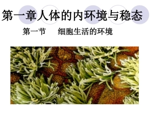 人体内环境与稳态