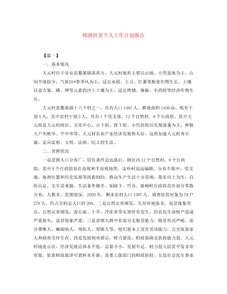 精准扶贫个人工作计划报告