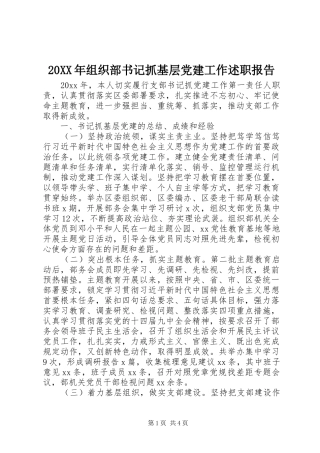 20XX年组织部书记抓基层党建工作述职报告