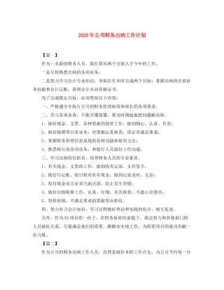 2020年公司财务出纳工作计划