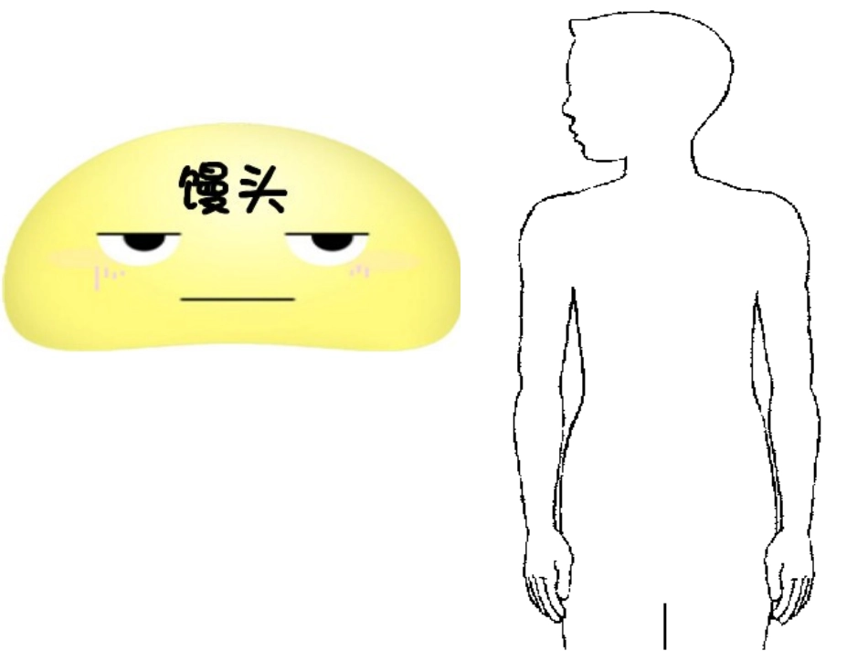 小学科学四上《食物在体内的旅行》课件_第2页