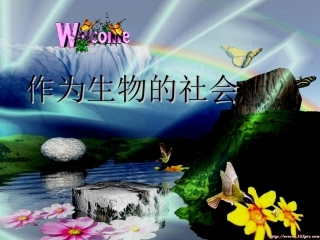 《作为生物的社会》课用