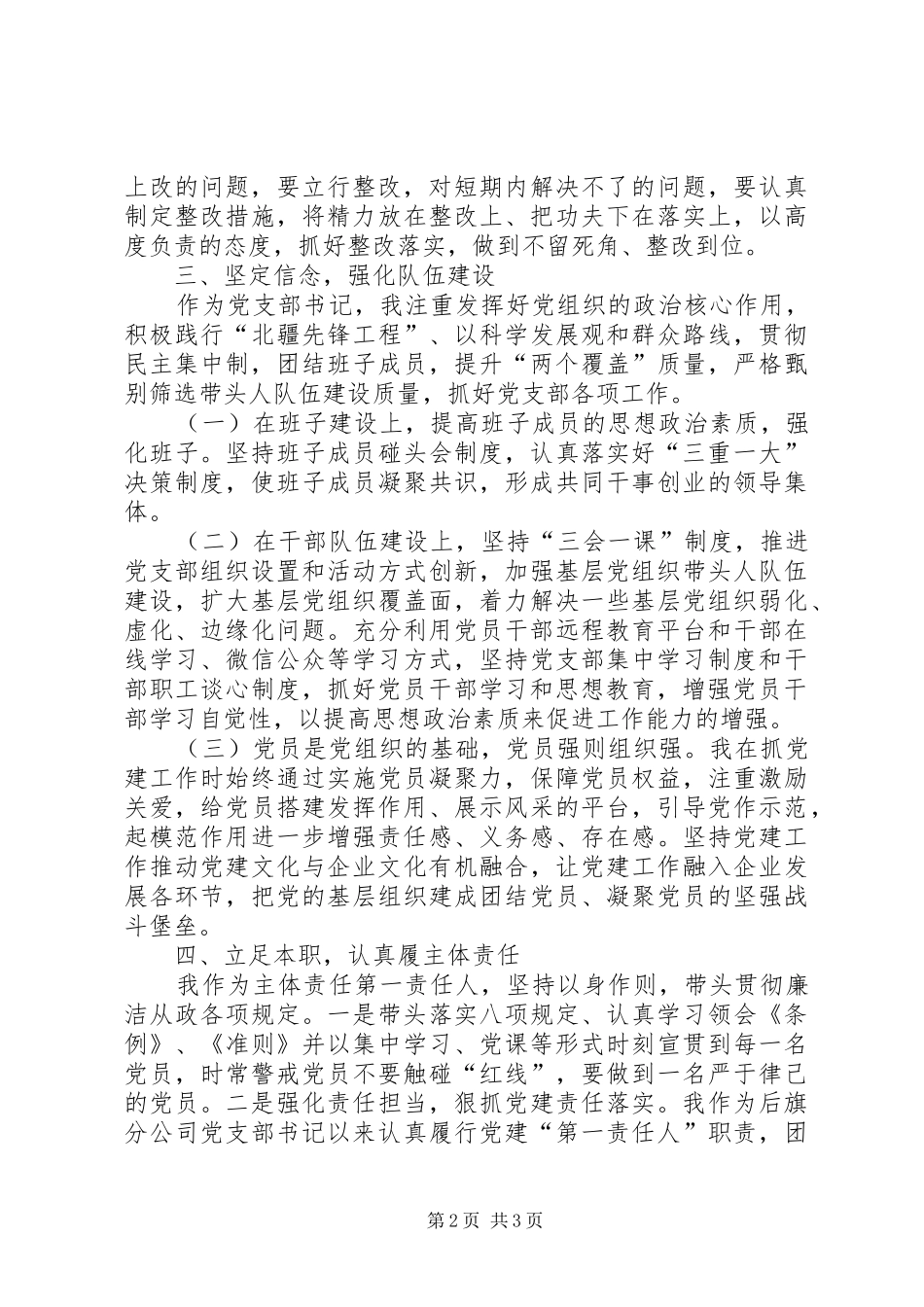 201X年党组织书记抓党建工作述职报告_第2页