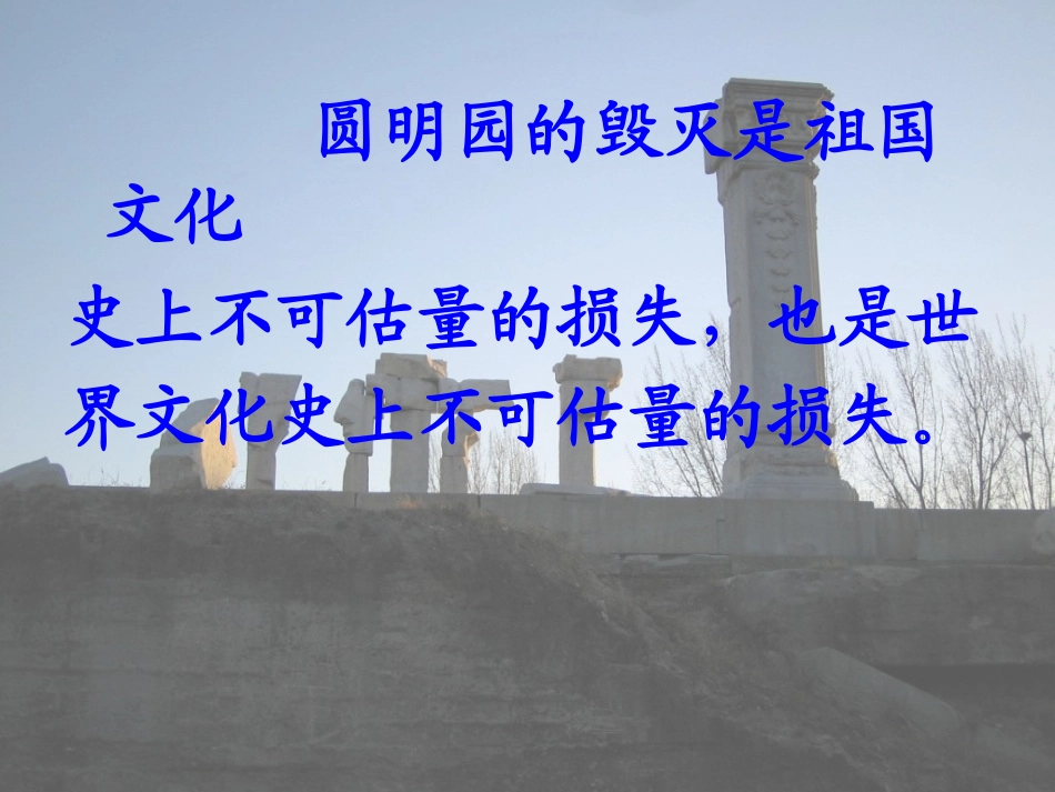圆明园的毁灭 (12)_第2页