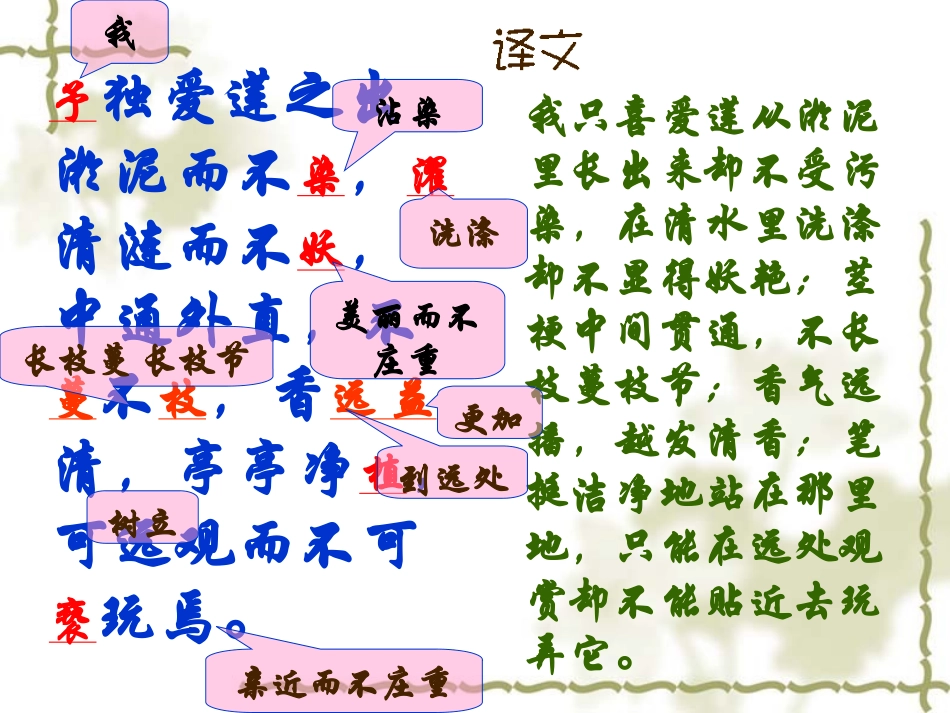 爱莲说复习课件[1]_第3页