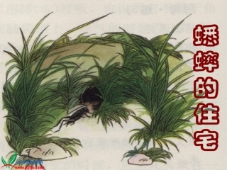 人教新课标四年级语文上册《蟋蟀的住宅8》PPT课件