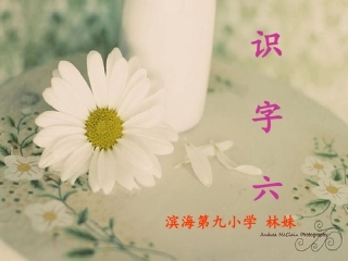 苏教版二年级下册识字六