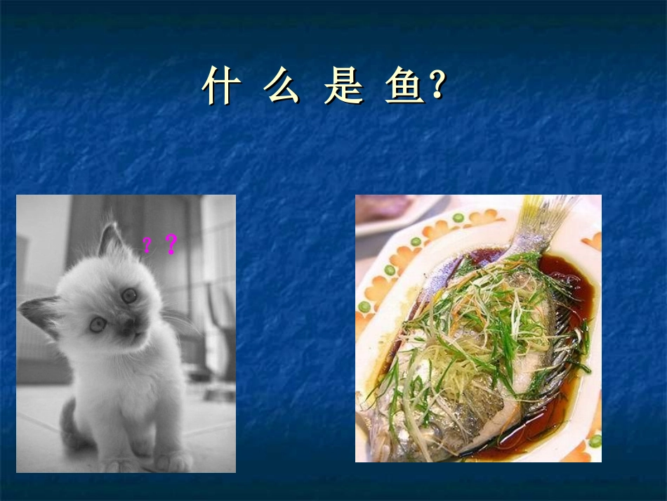 鱼类（黄飞燕课件）_第2页