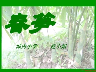 《春笋》课件