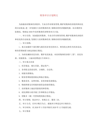 财务审计计划例文
